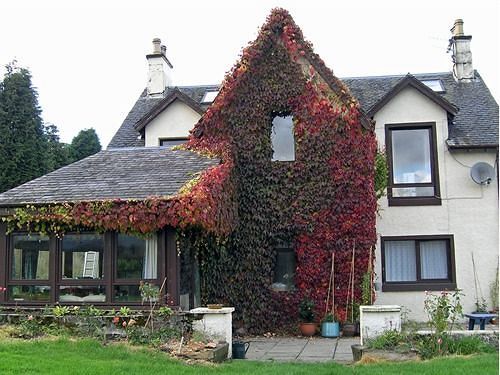 Hotel Achnabobane Farmhouse Spean Bridge Exterior foto